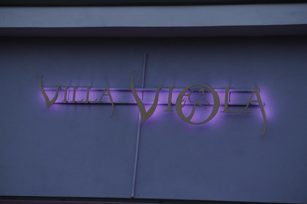Viola Pjescana Uvala