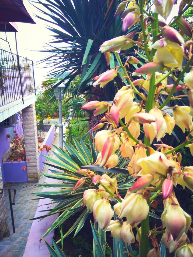 Aparthotel Viola 4*