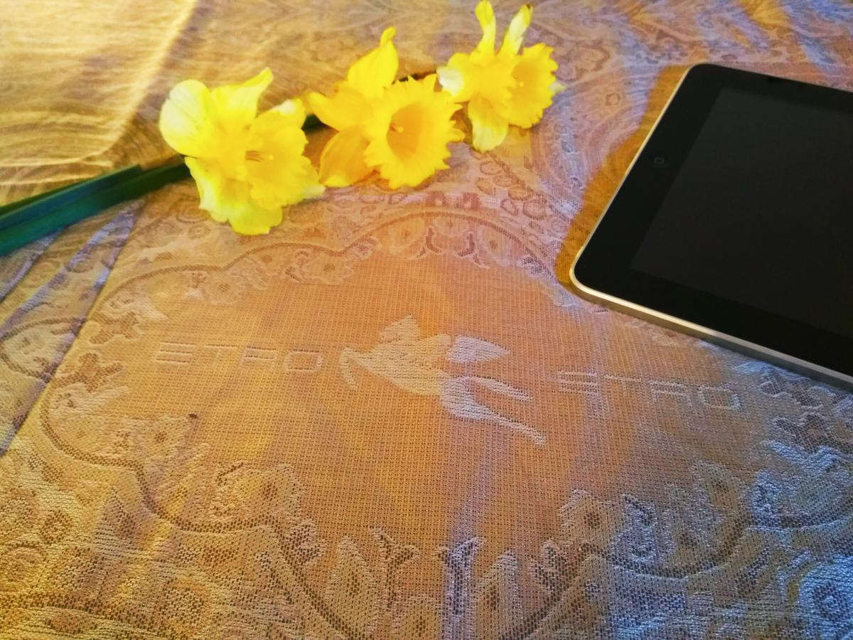 Viola 4* Pjescana Uvala