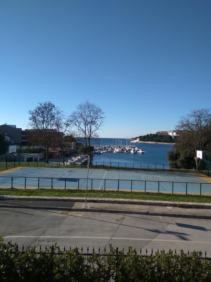 Viola Pjescana Uvala