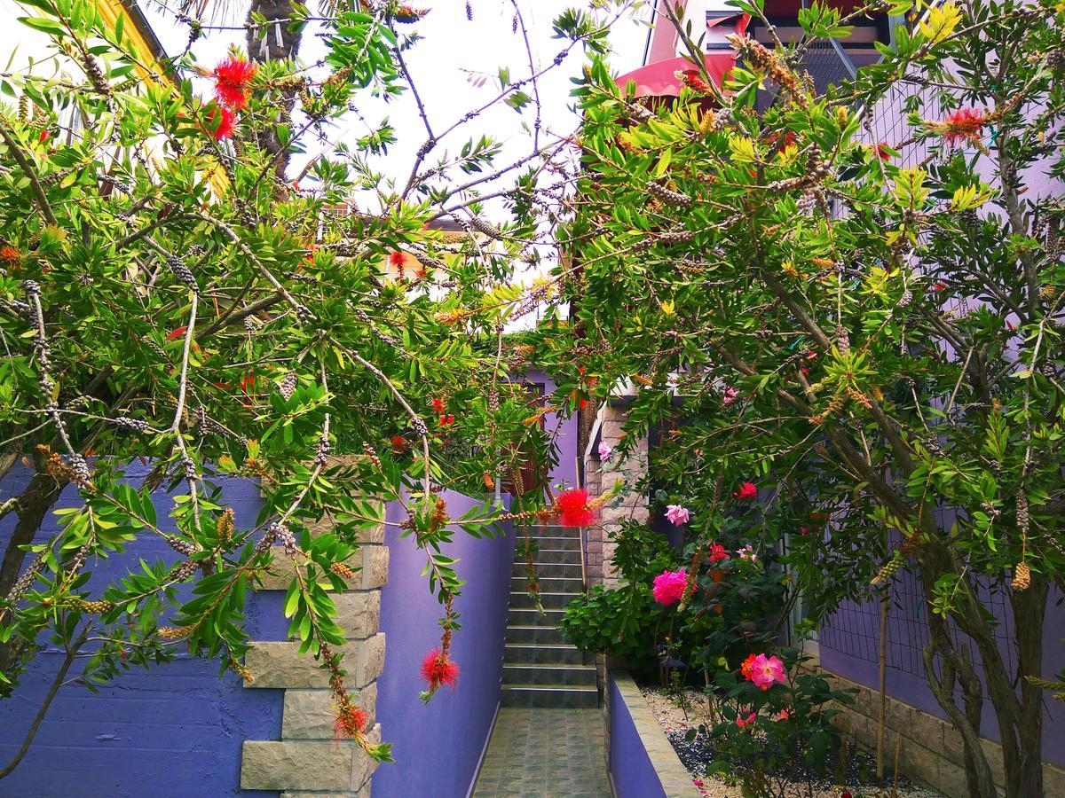 Aparthotel Viola
