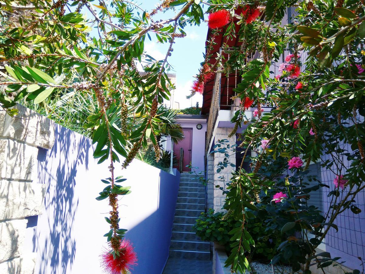Viola Aparthotel 4*